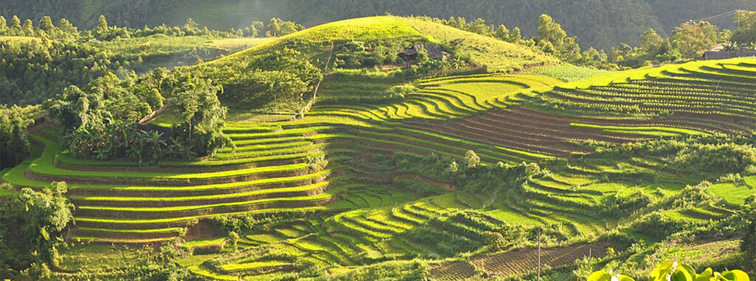 Heeloya Village