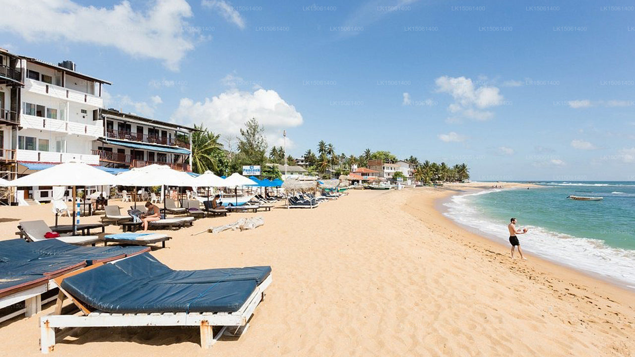 Unawatuna Beach Bungalow Hotel, Unawatuna