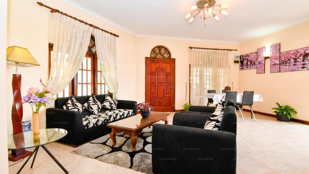 Expeditor, Kandy