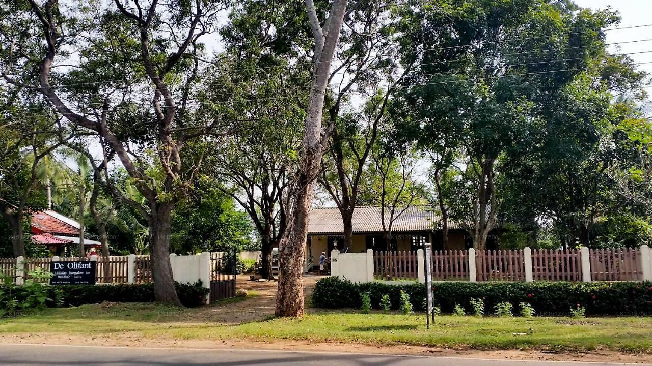 De Olifant Holiday Bungalow, Udawalawe