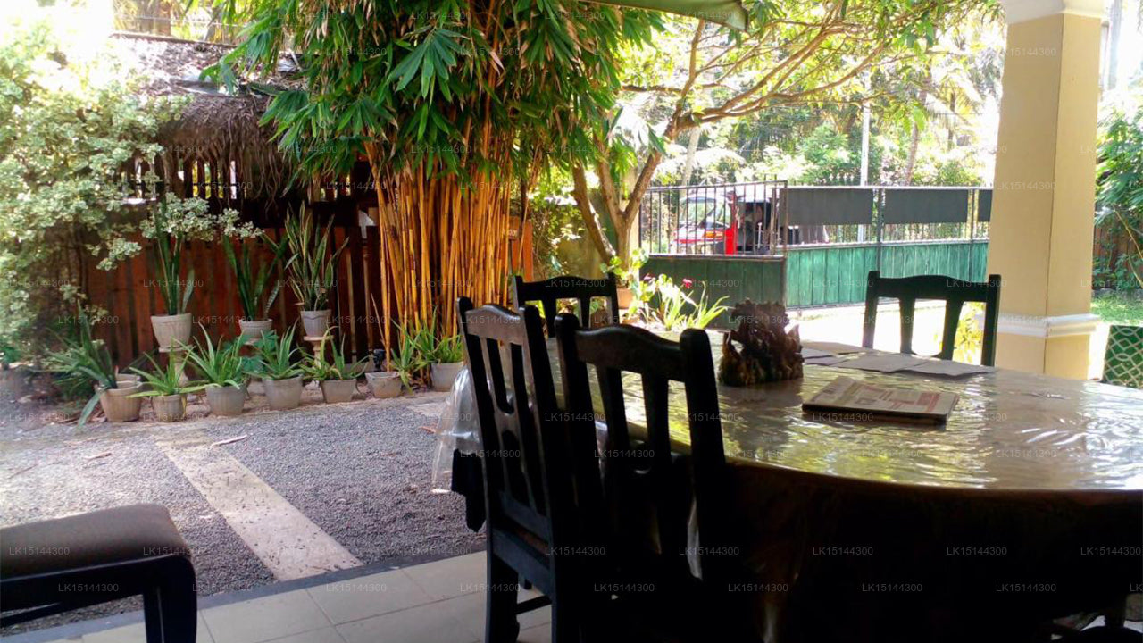 Stemyra, Negombo