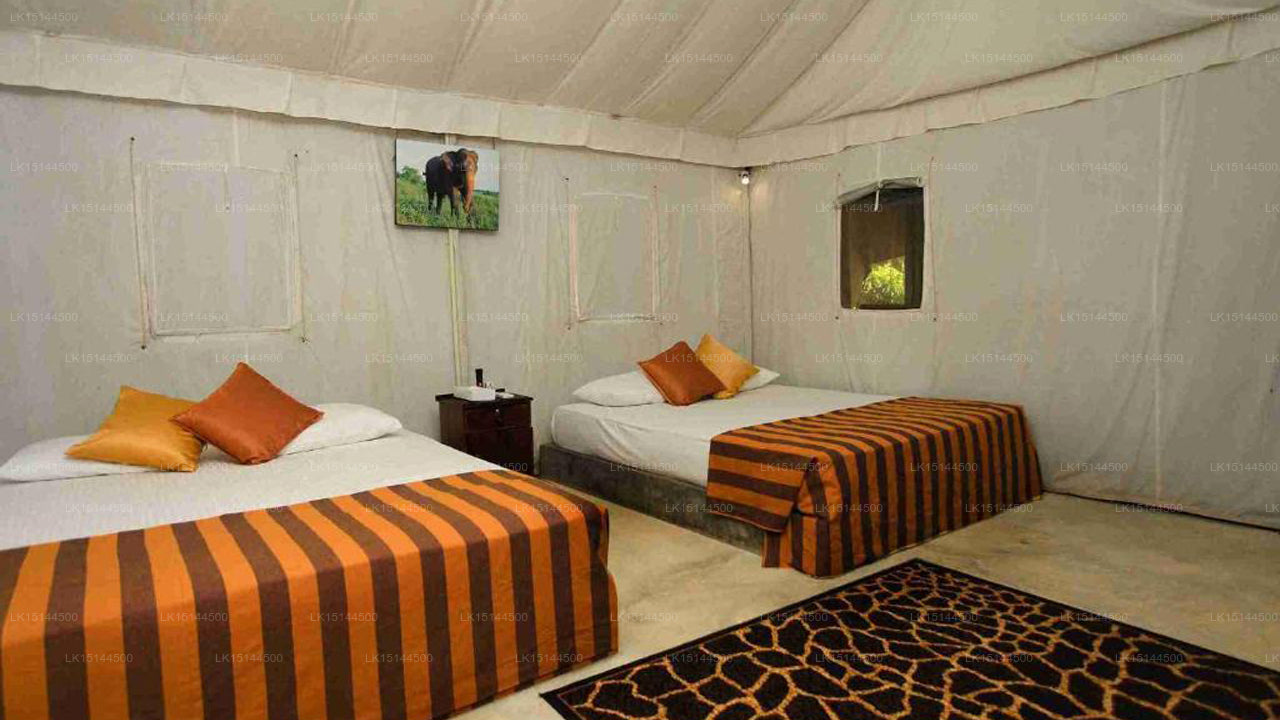 Wild Elephas Lodge, Udawalawe