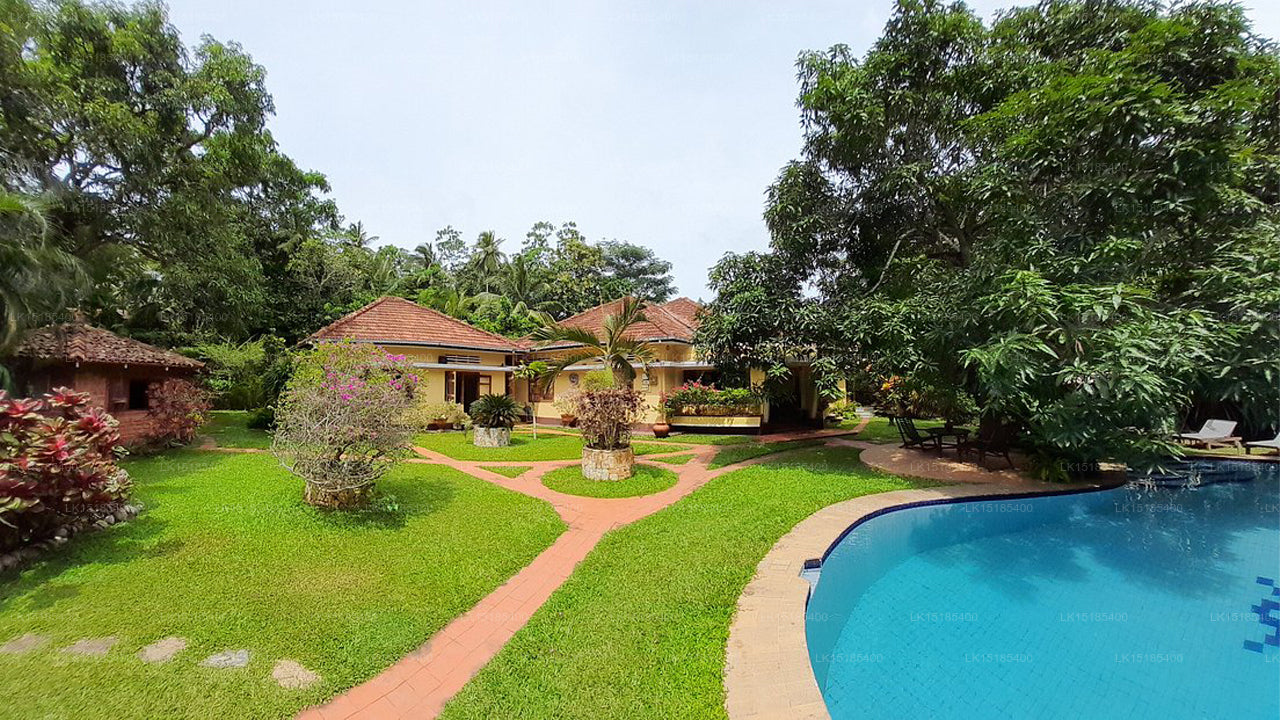 Peacock Villa Ayurveda Garden, Dikwella