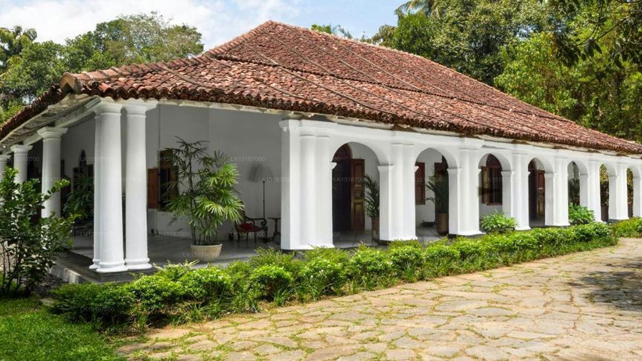 The Kandy House