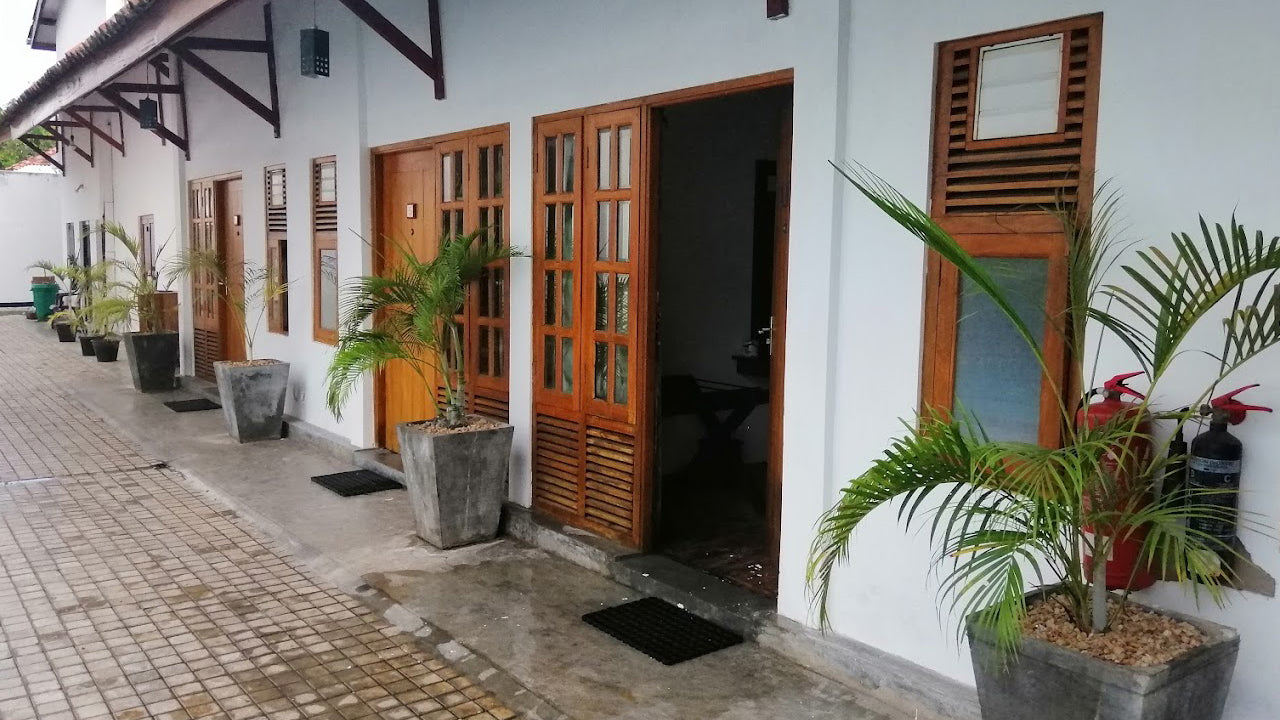 Taprospa Palm Leaves, Jaffna