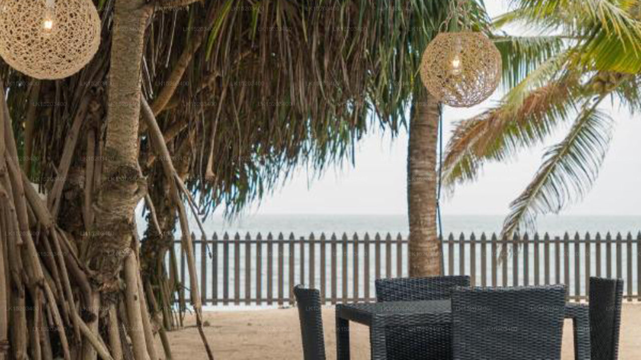 Casa Mija, Mirissa