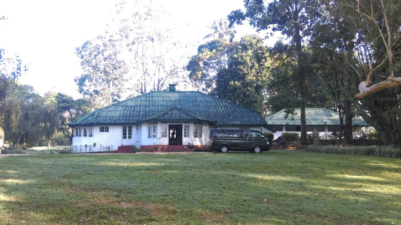 The Other Corner, Galaha