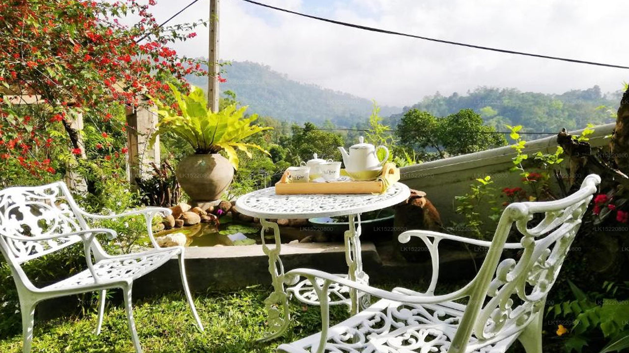 Eco Point, Ella