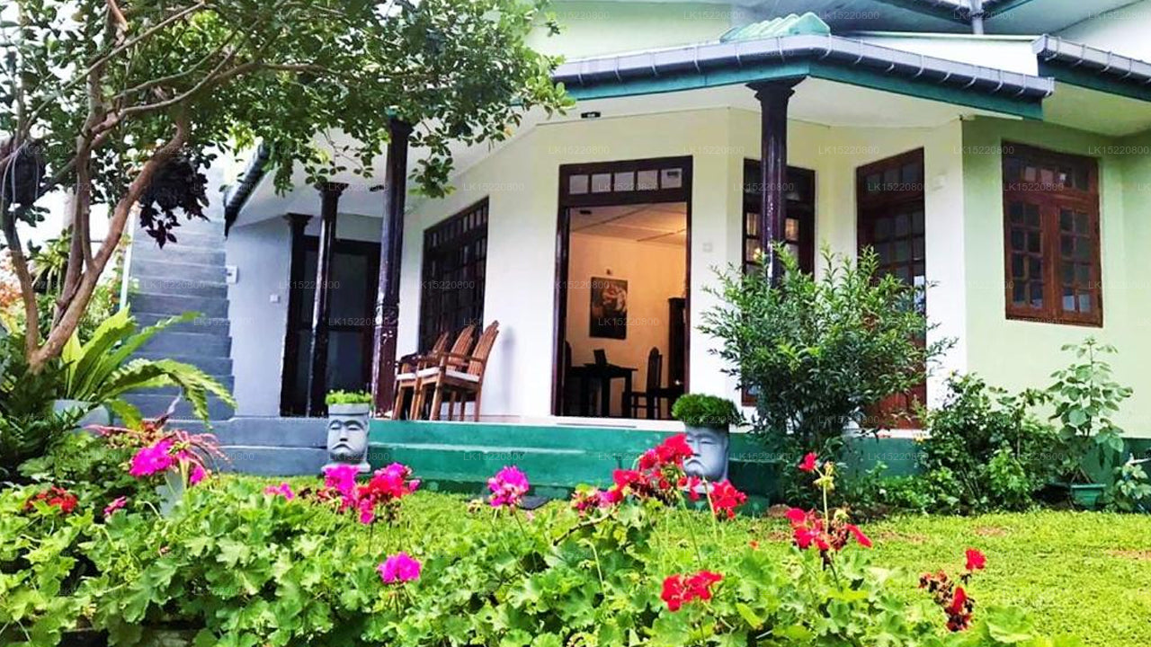 Eco Point, Ella
