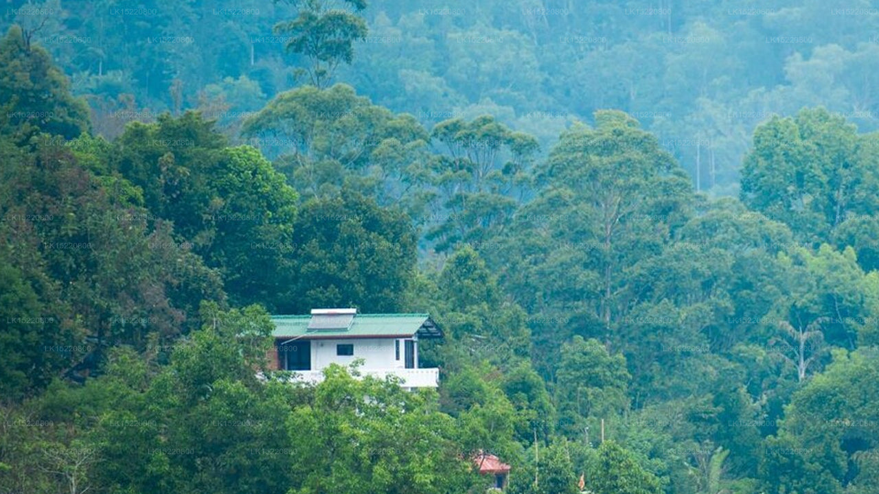 Eco Point, Ella