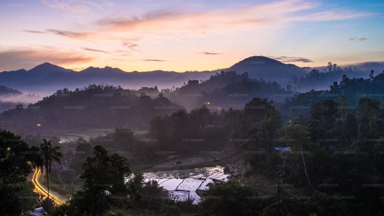 Eco Point, Ella