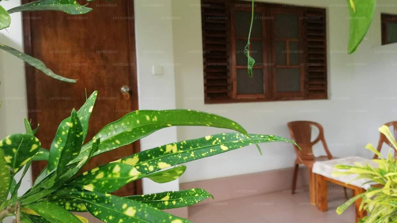 Palm Garden Guest House, Polonnaruwa