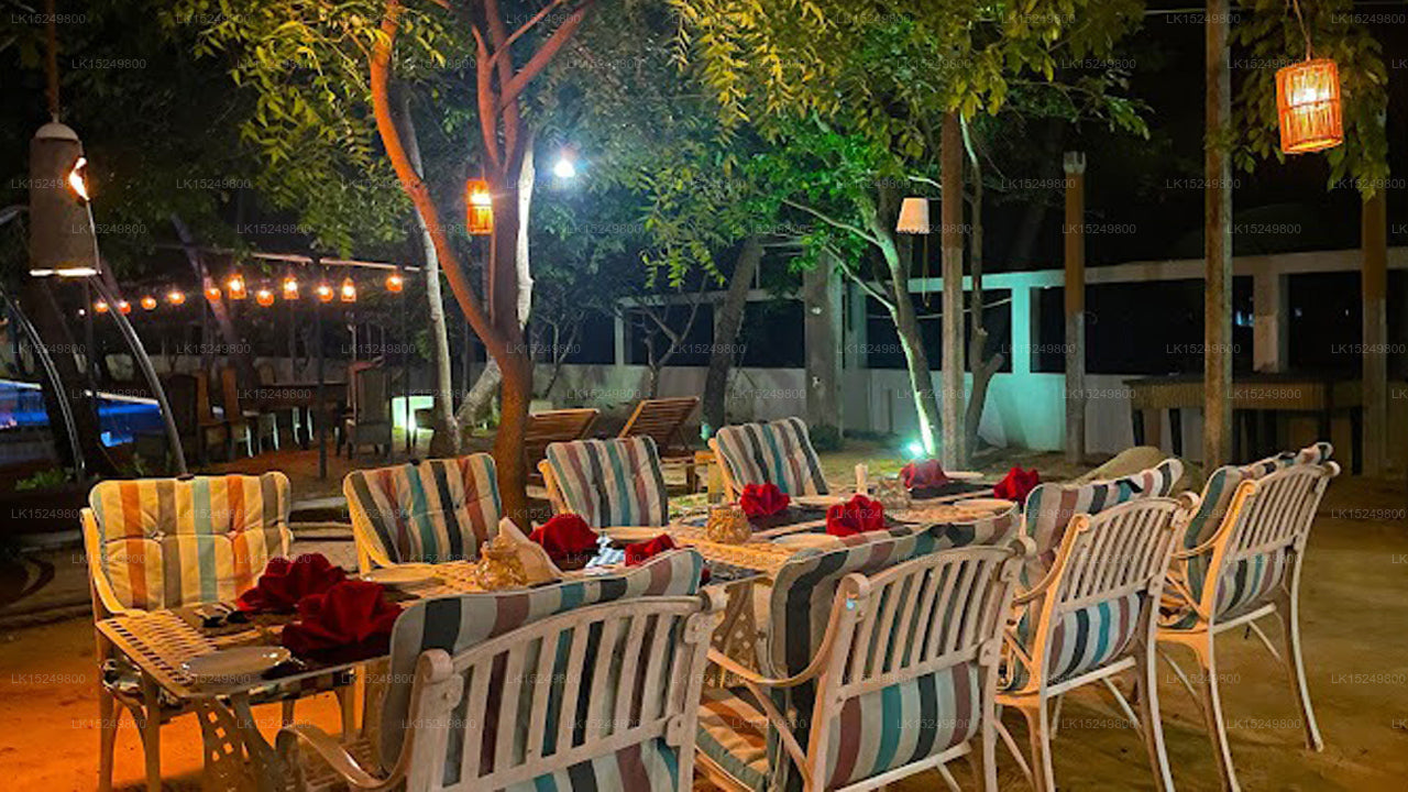 Blue Whale Beach Resort, Kalpitiya