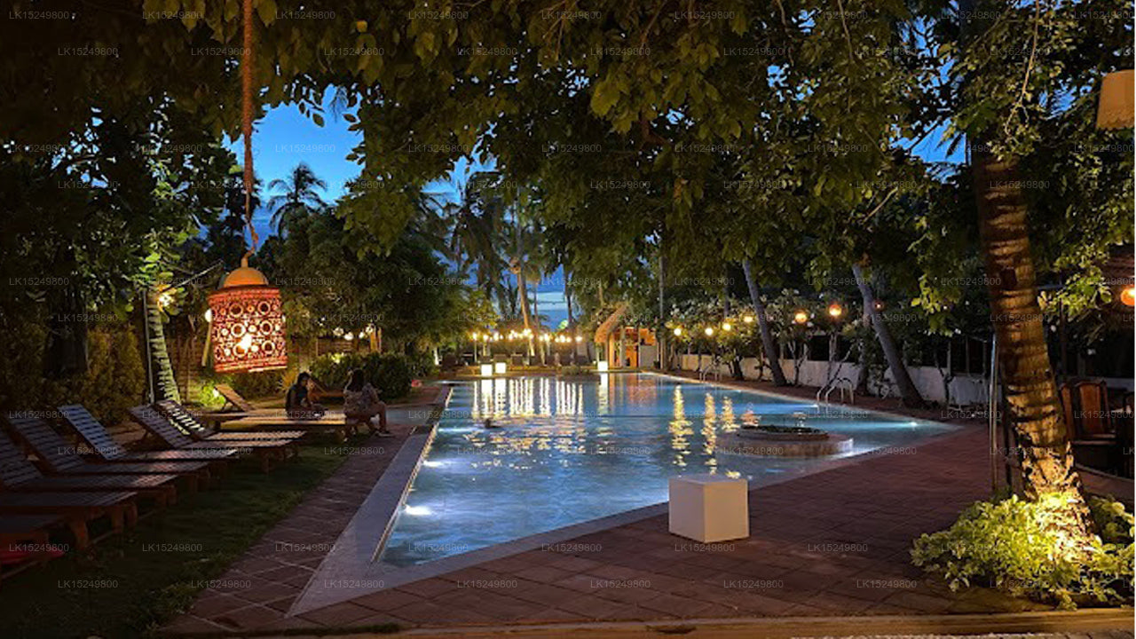Blue Whale Beach Resort, Kalpitiya
