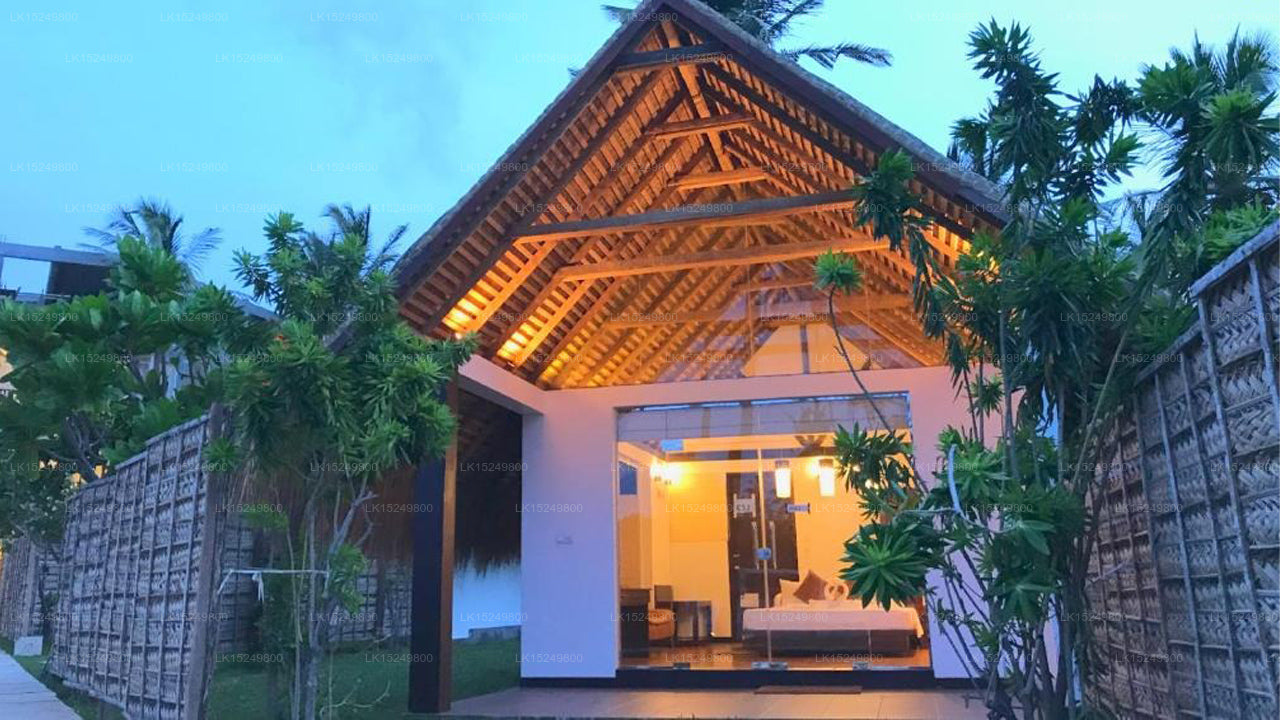 Blue Whale Beach Resort, Kalpitiya