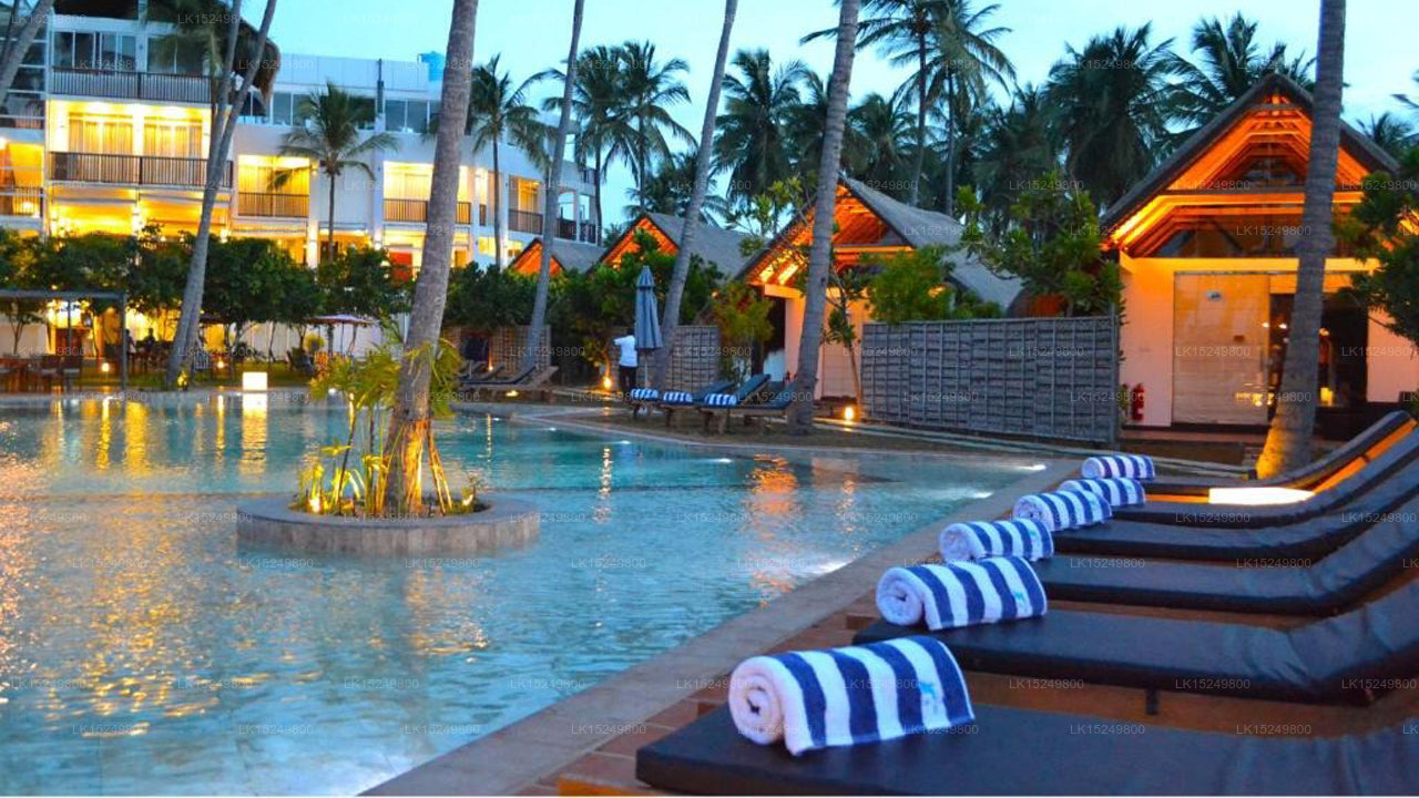 Blue Whale Beach Resort, Kalpitiya
