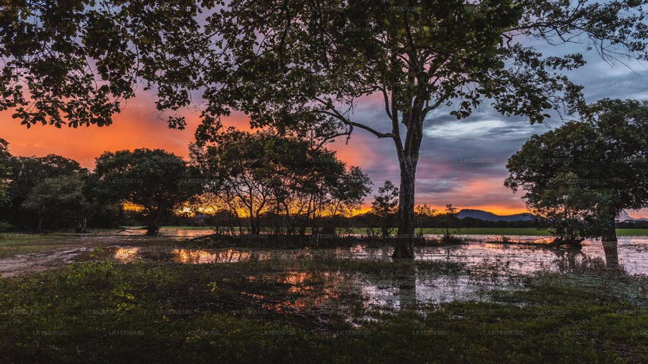 Eco Team Safari Camps, Yala