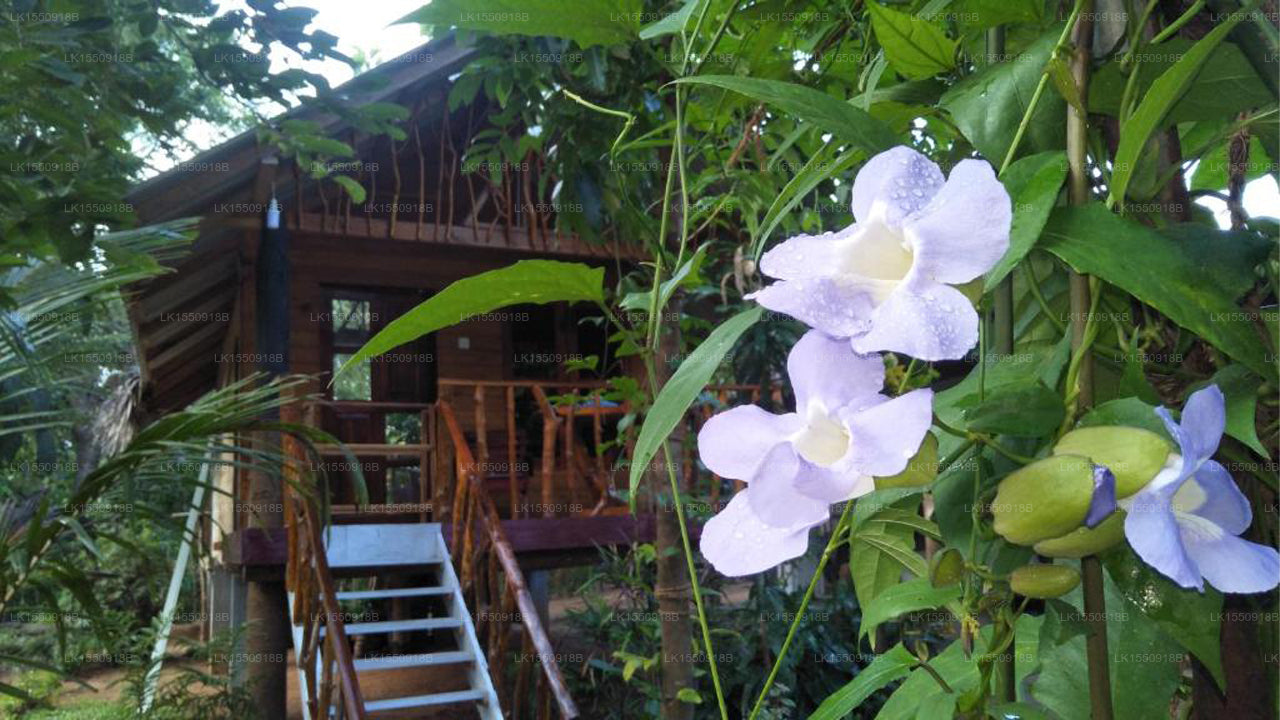 Shan Home Stay, Sigiriya