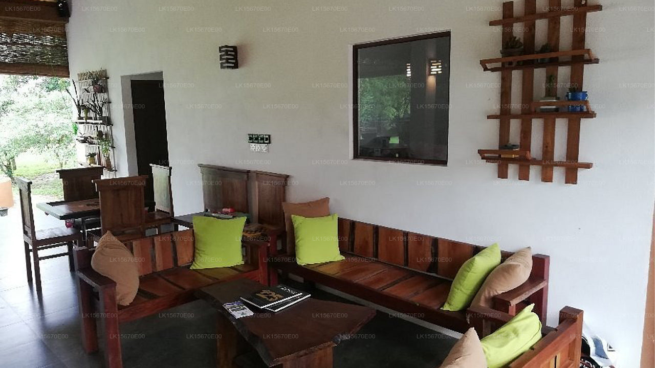 Tranquil Wild, Yala
