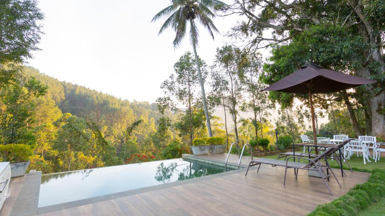 The Oliver Tree Bungalow, Kandy