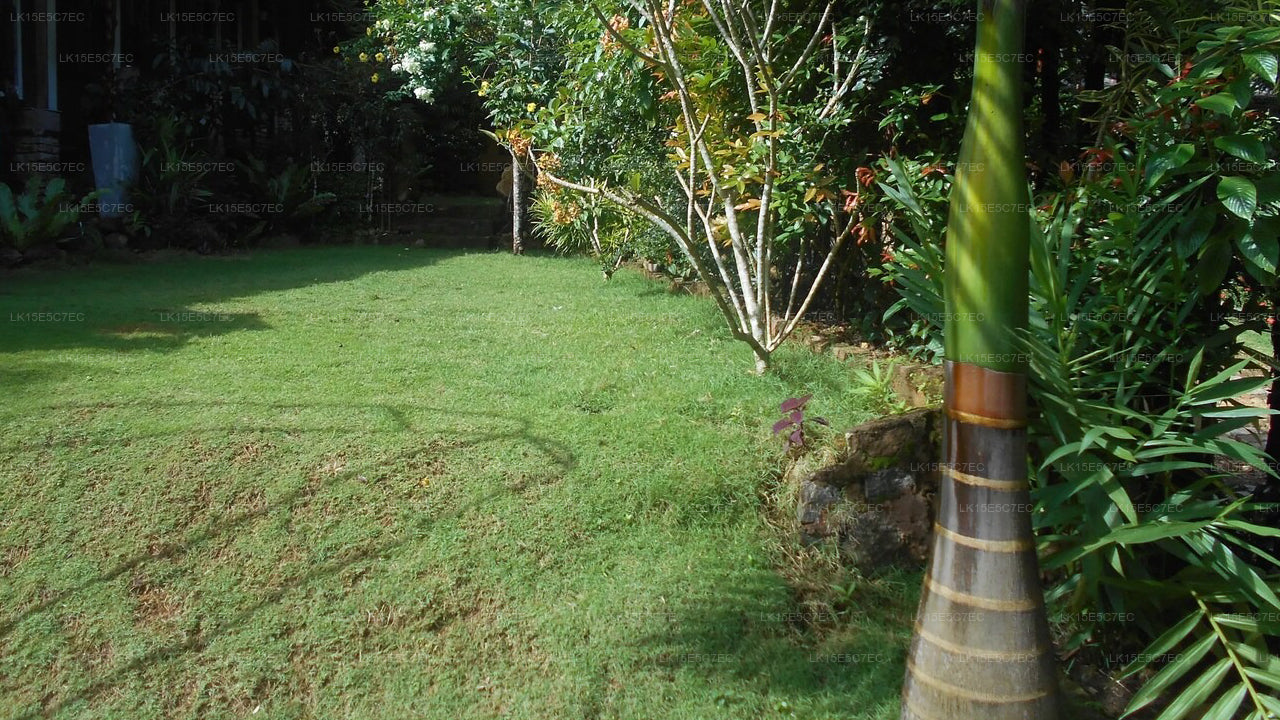 Sapphire Holiday Resort, Ratnapura