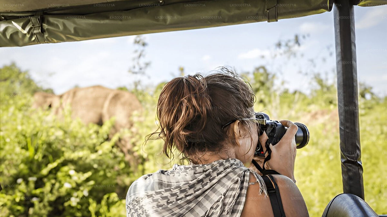 Private Tour from Ella to Tangalle with Udawalawe Safari