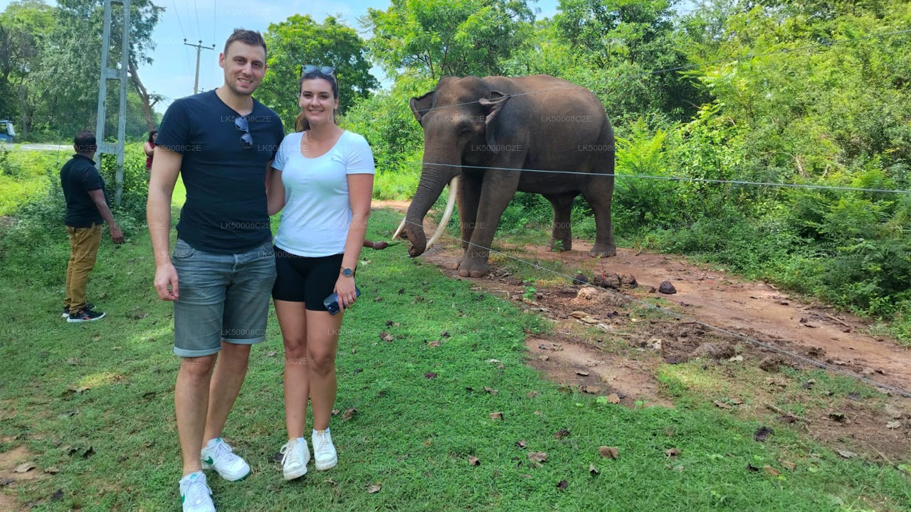 Private Tour from Ella to Galle with Udawalawe Safari