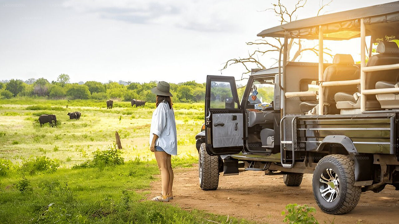 Private Tour from Galle to Ella with Udawalawe Safari