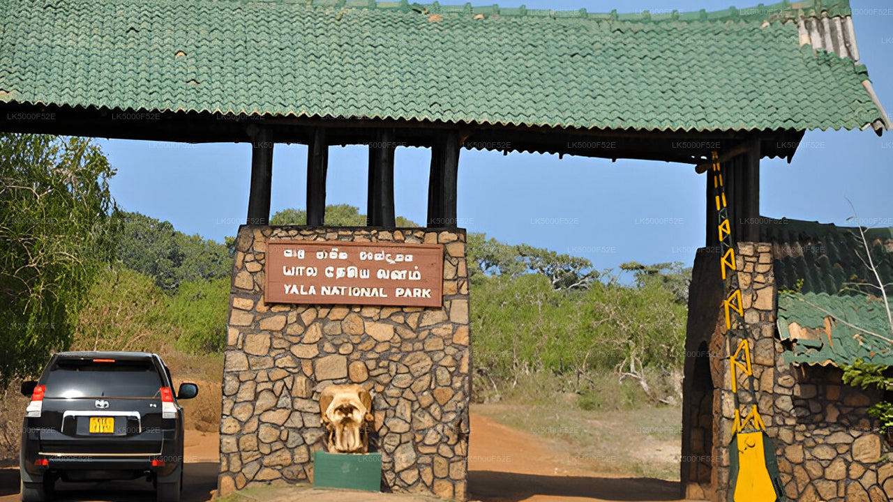 Private Tour from Ella to Galle with Yala Safari