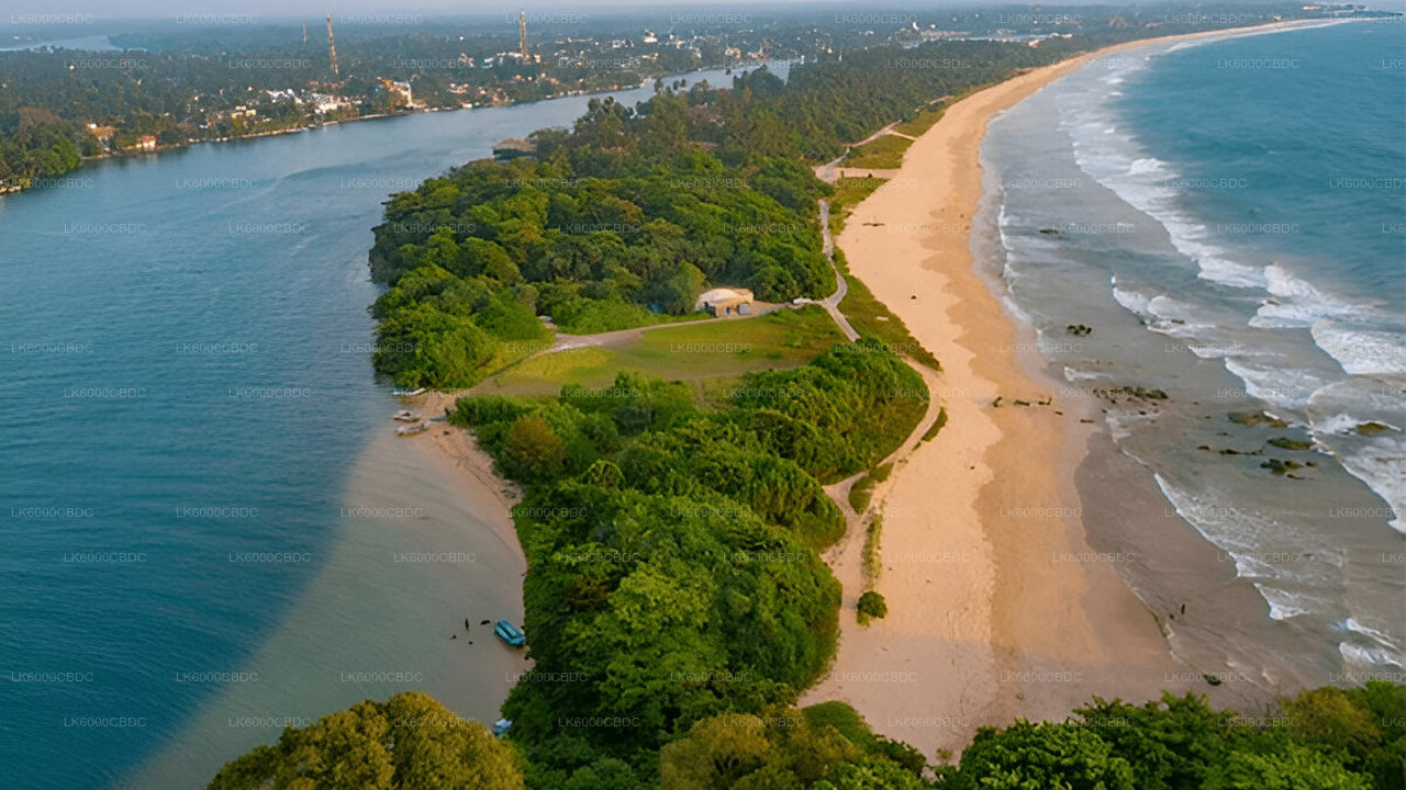 Bentota City tour and Galle from Kosgoda