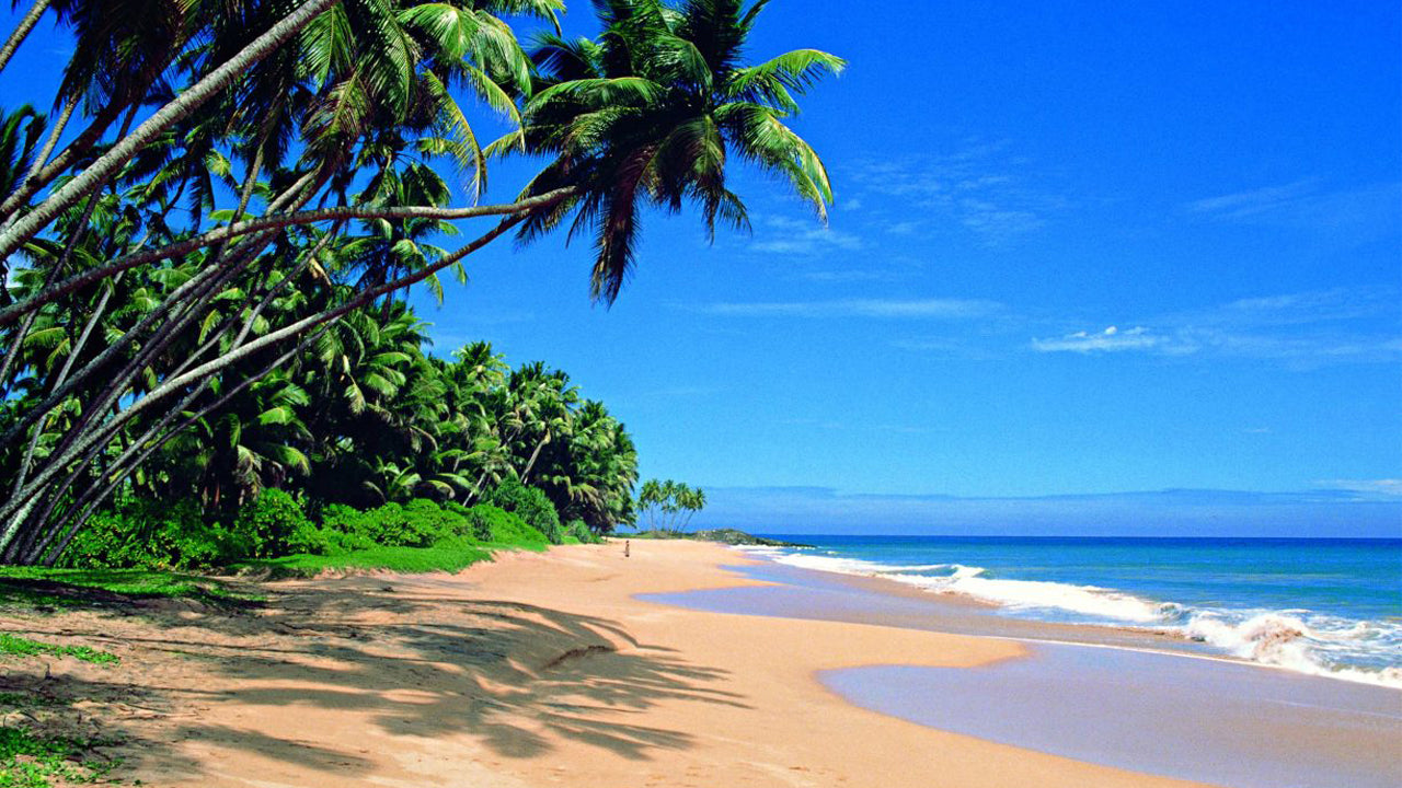 Coastal Ride to Galle from Panadura