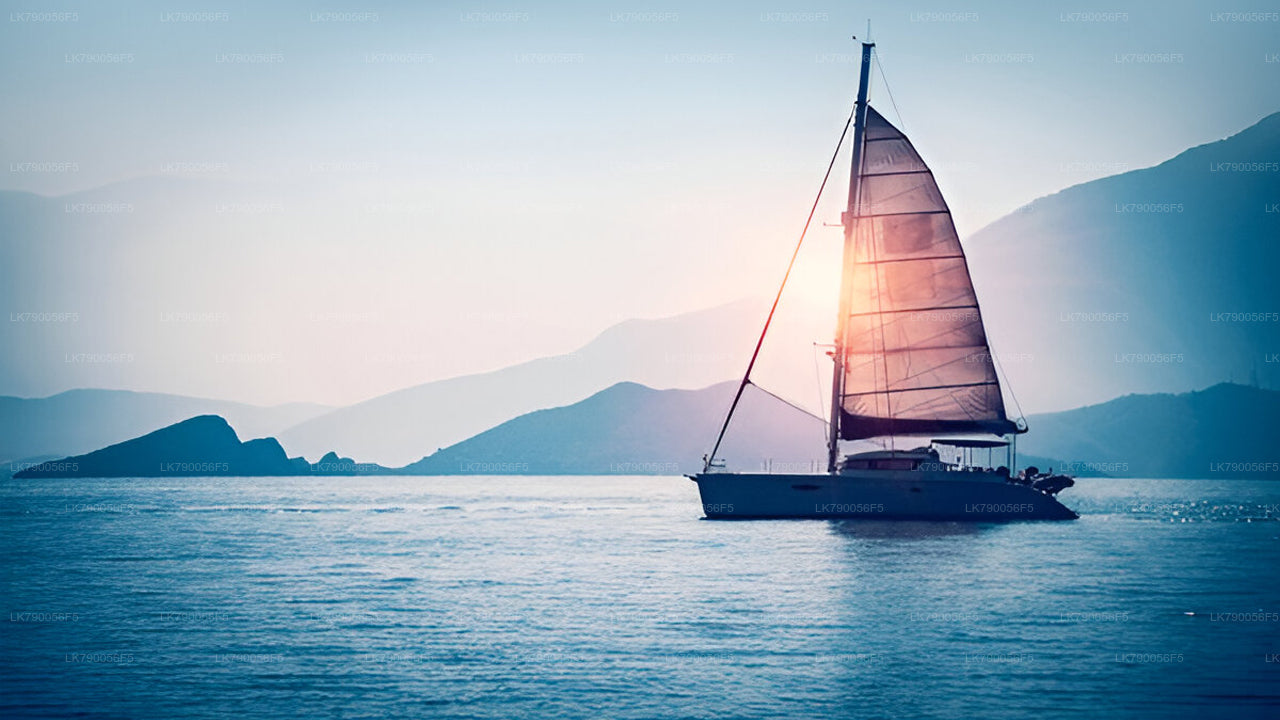 3-Hour Shared Sunset Cruise From Pasikuda