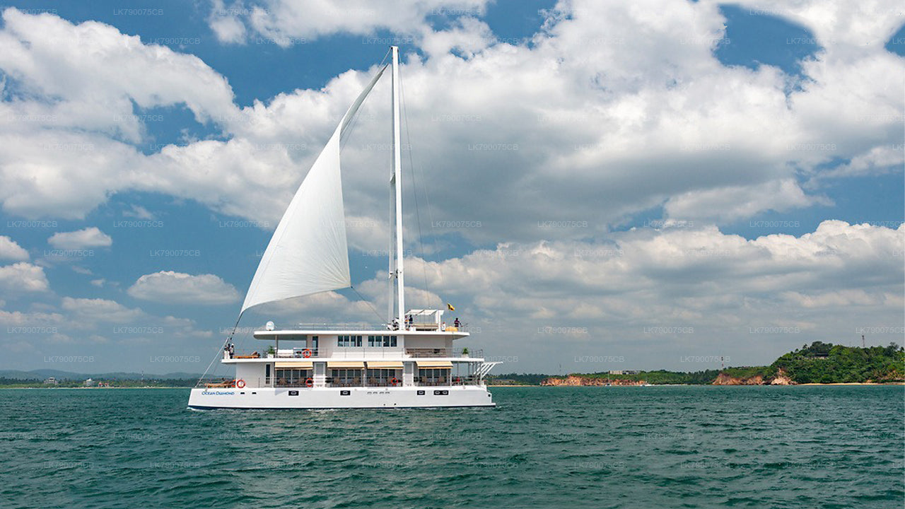 Overnight Cruise Experience from Mirissa on Ocean Diamond