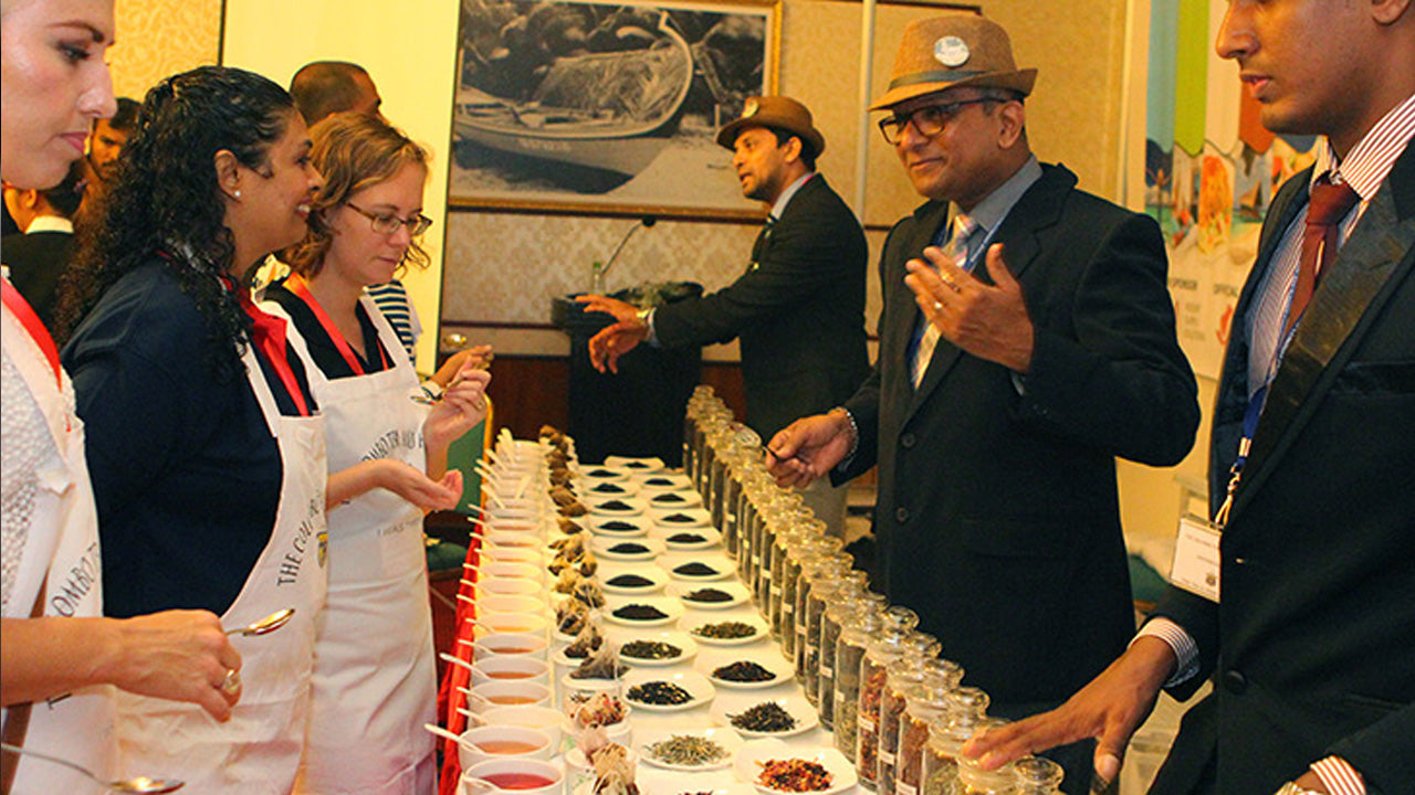 Ceylon Tea Tasting From Colombo