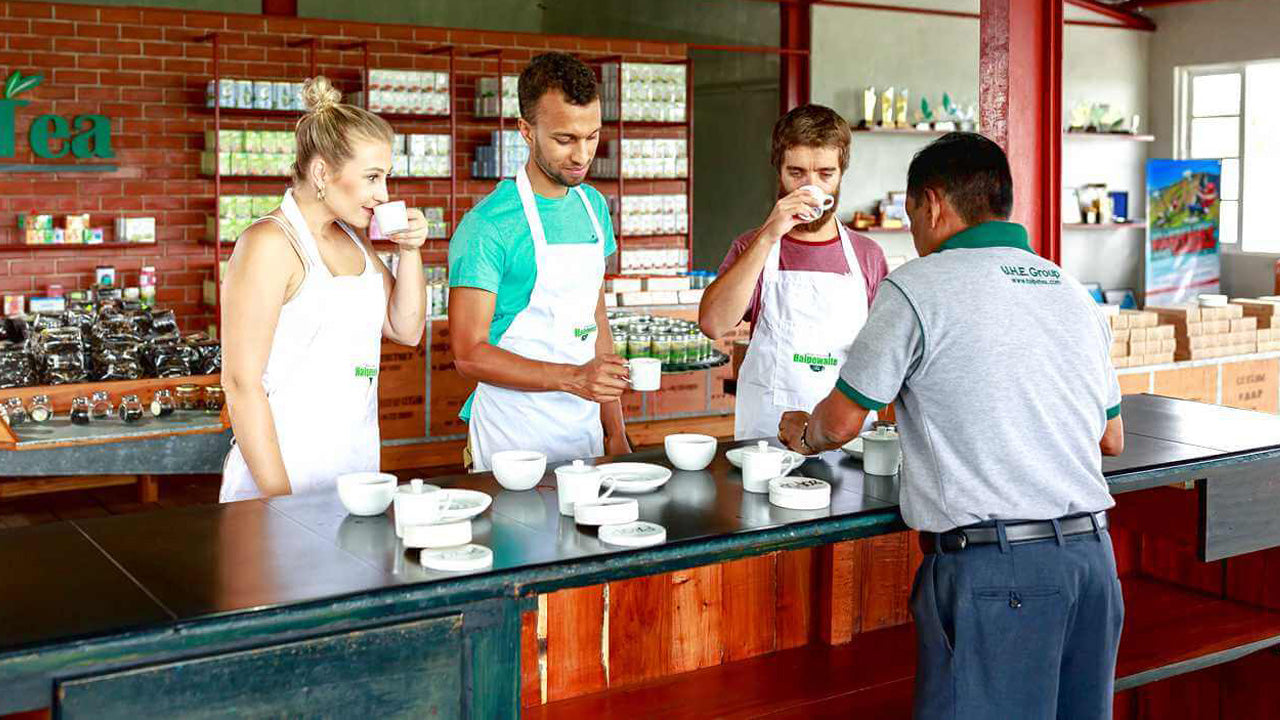 Ceylon Tea Tasting From Colombo