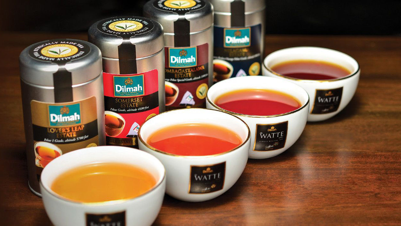 Ceylon Tea Tasting From Colombo