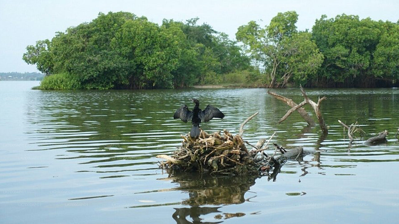 Pottuvil Lagoon Tour by Raft
