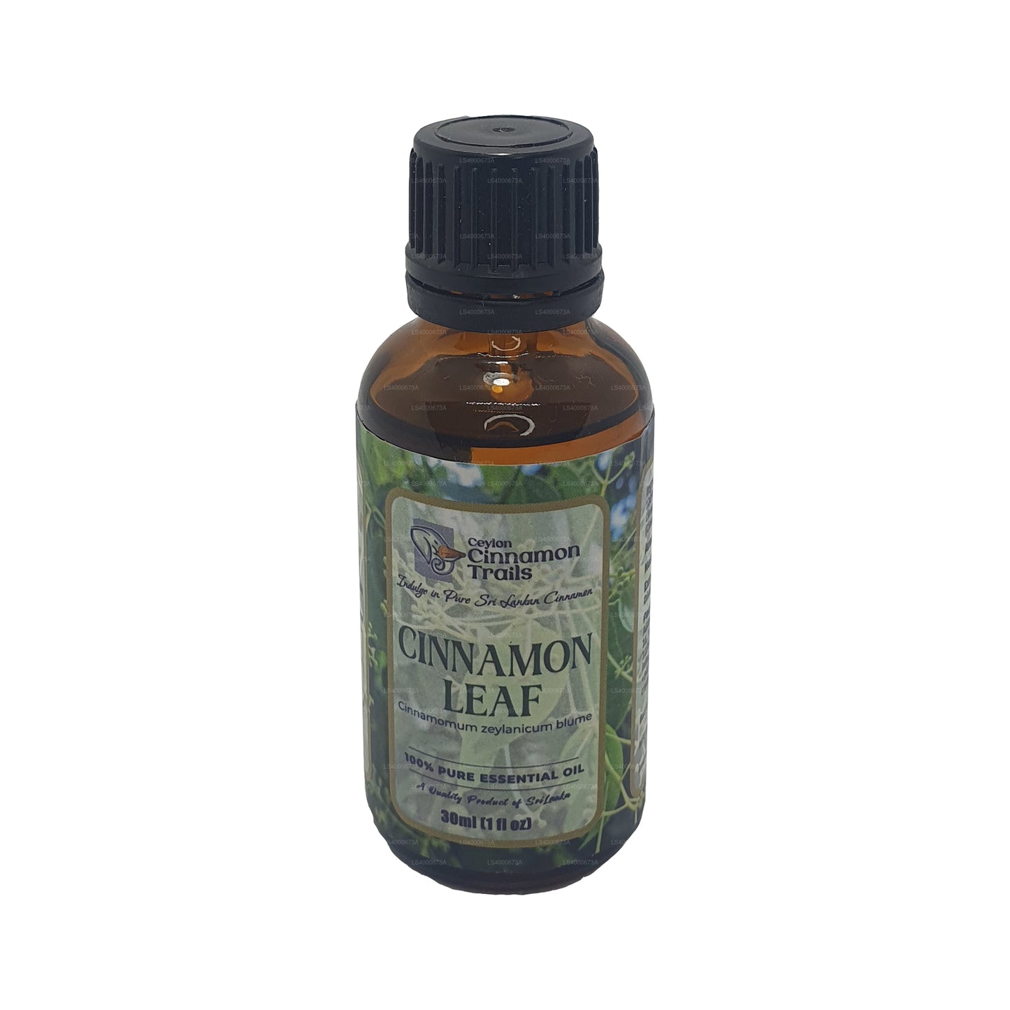 Эфирное масло листьев корицы Ceylon Cinnamon Trails (10 мл)