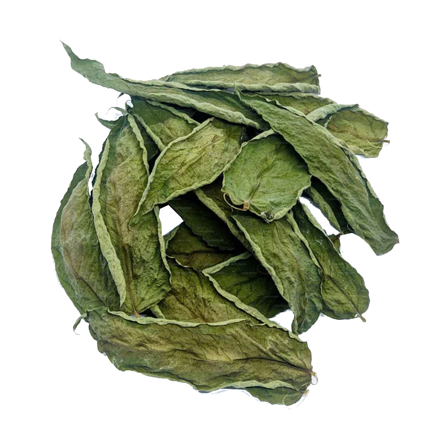 Ransaru Wildcrafted Dehydrated Bilin (Bilimbi, Cucumber,Averrhoa Bilimbi) Leaves pack