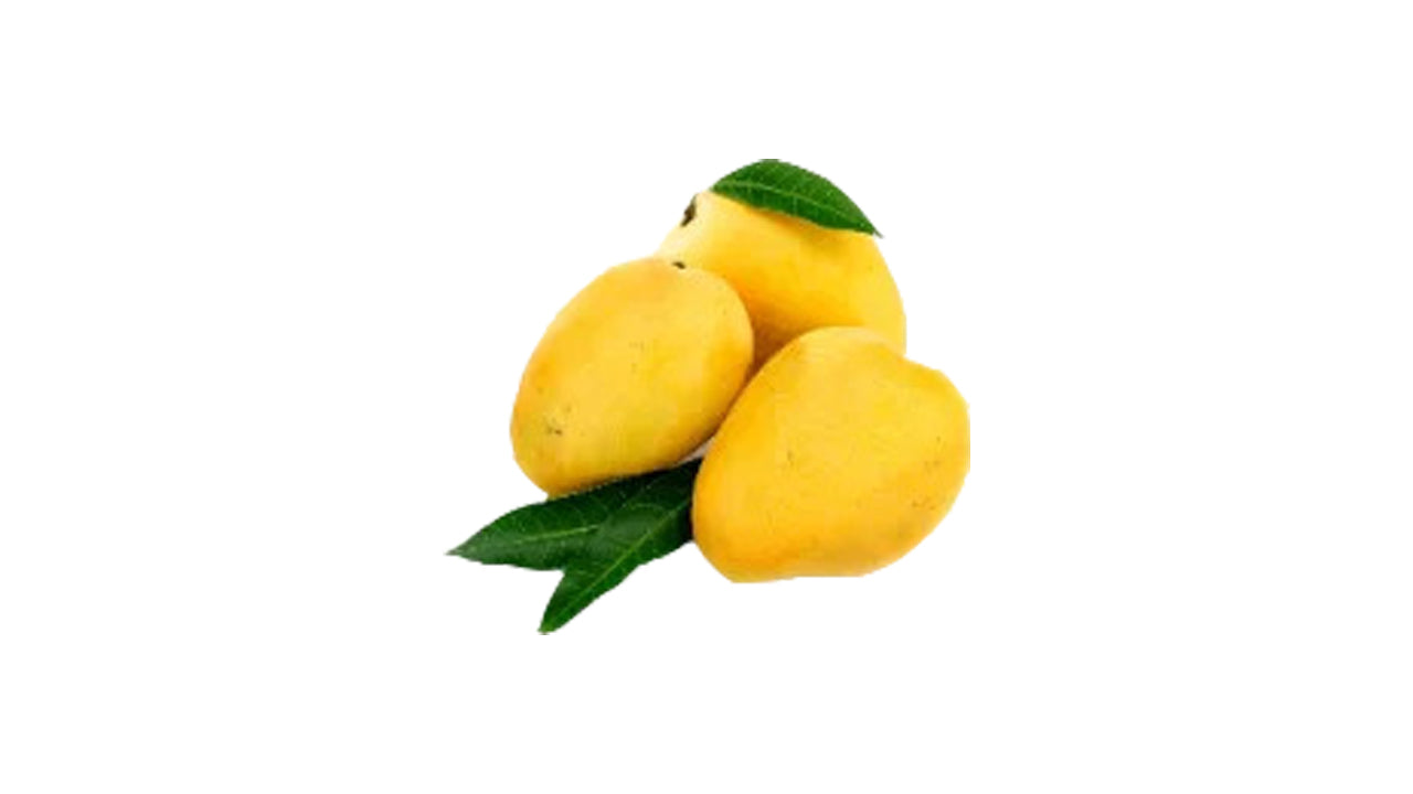 Lakpura Yellow Mango Plant