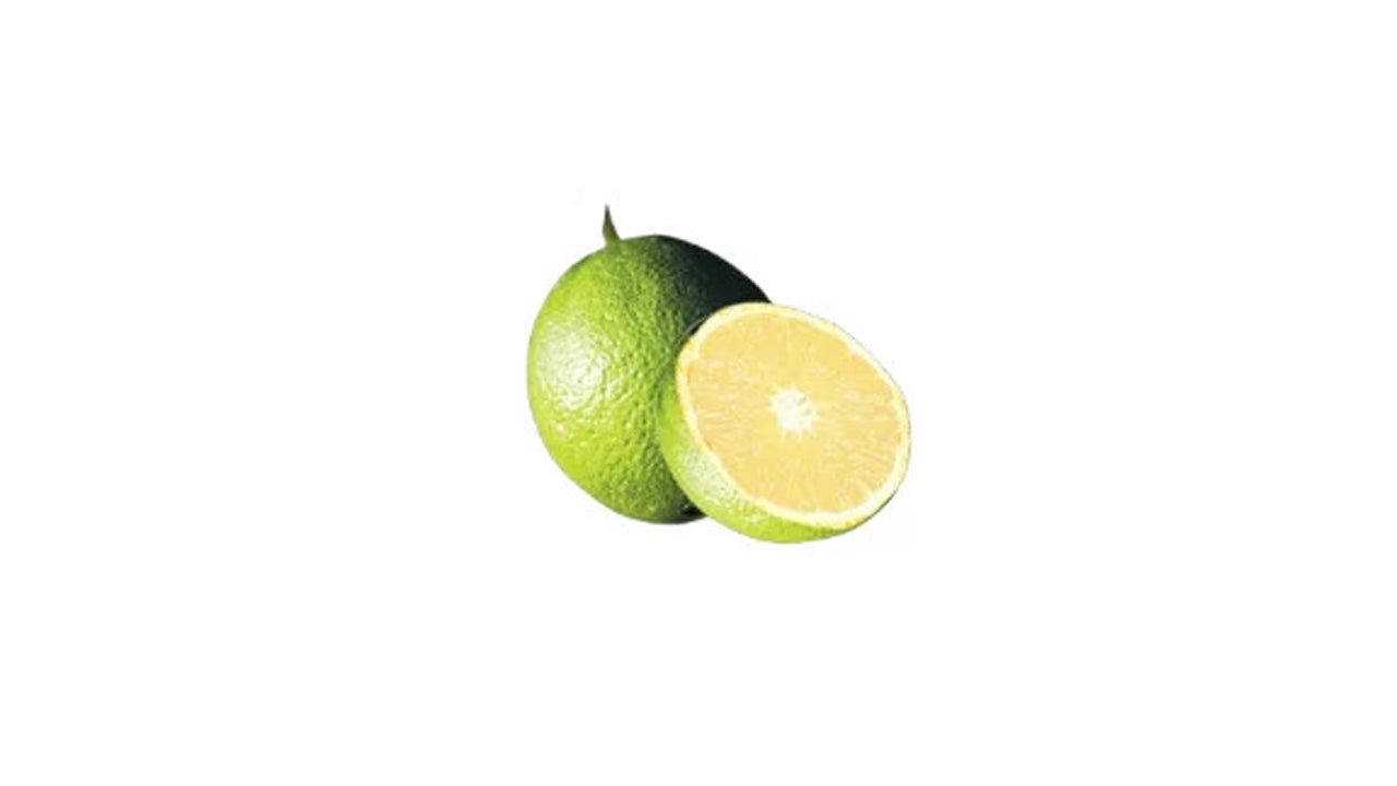 Lakpura Bibila Sweet Orange Plant
