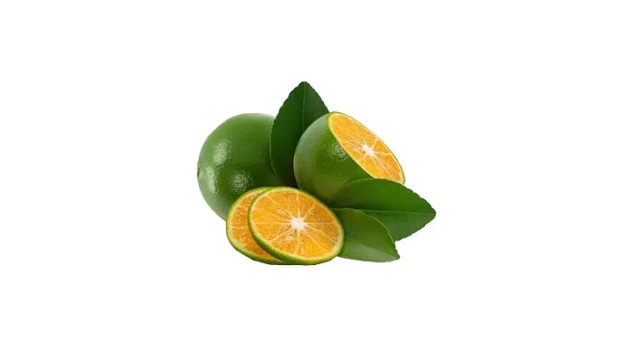 Lakpura Calamansi (Thai Dehi) Plant