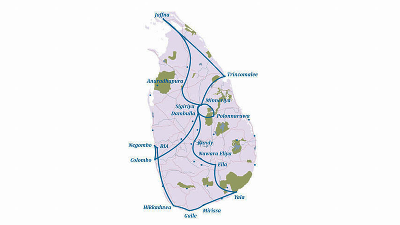 Цейлонская ласка (27 дней)