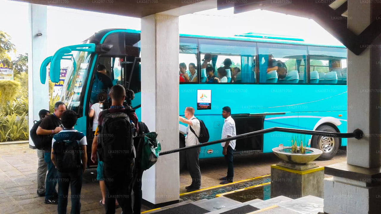 Yala City to Colombo City Private Transfer