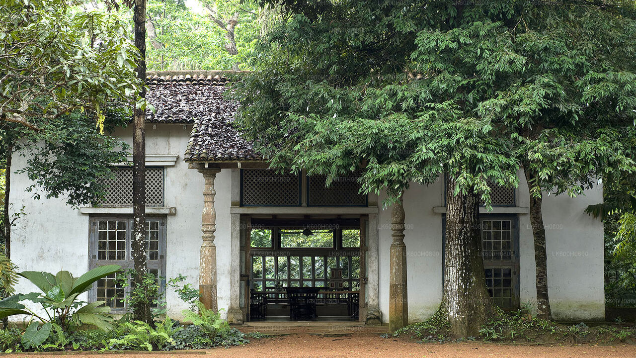Bentota City Tour from Colombo