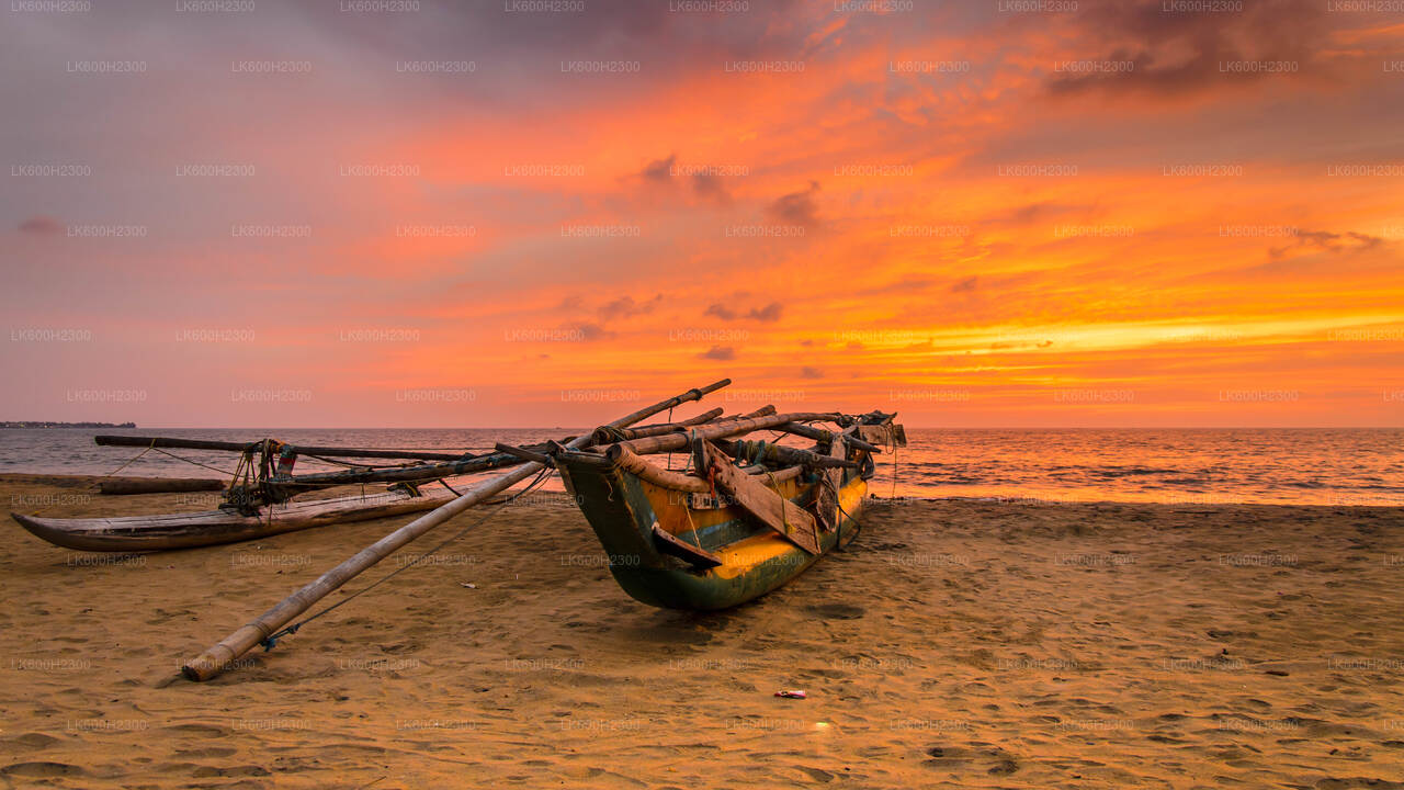 Negombo City Tour from Colombo Seaport
