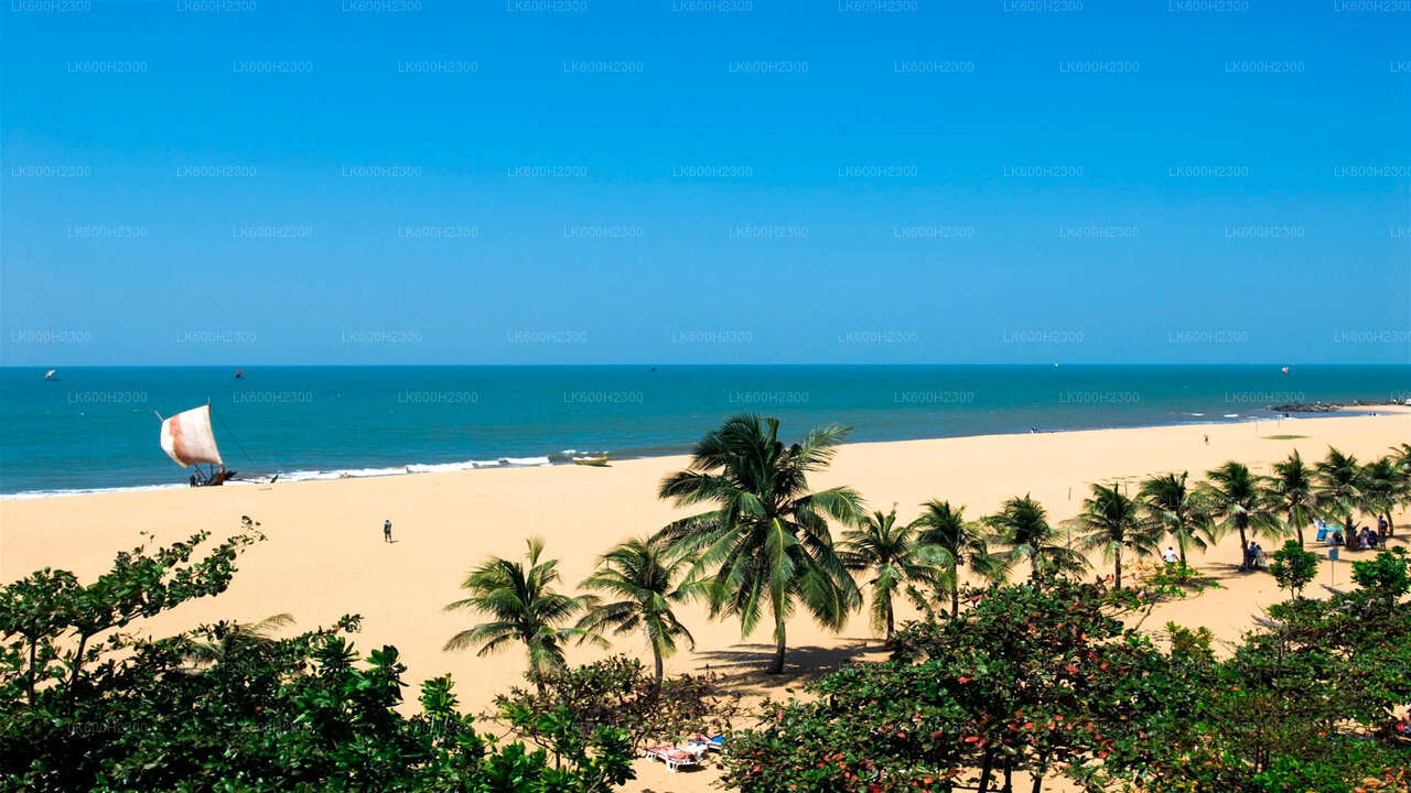 Negombo City Tour from Colombo Seaport