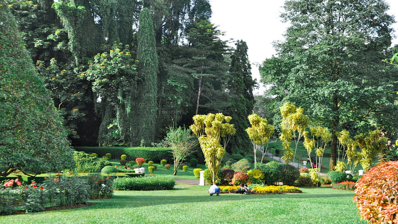 Royal Botanic Garden and Village Life Tour from Kandy