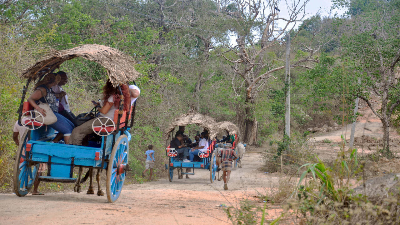 Royal Botanic Garden and Village Life Tour from Kandy