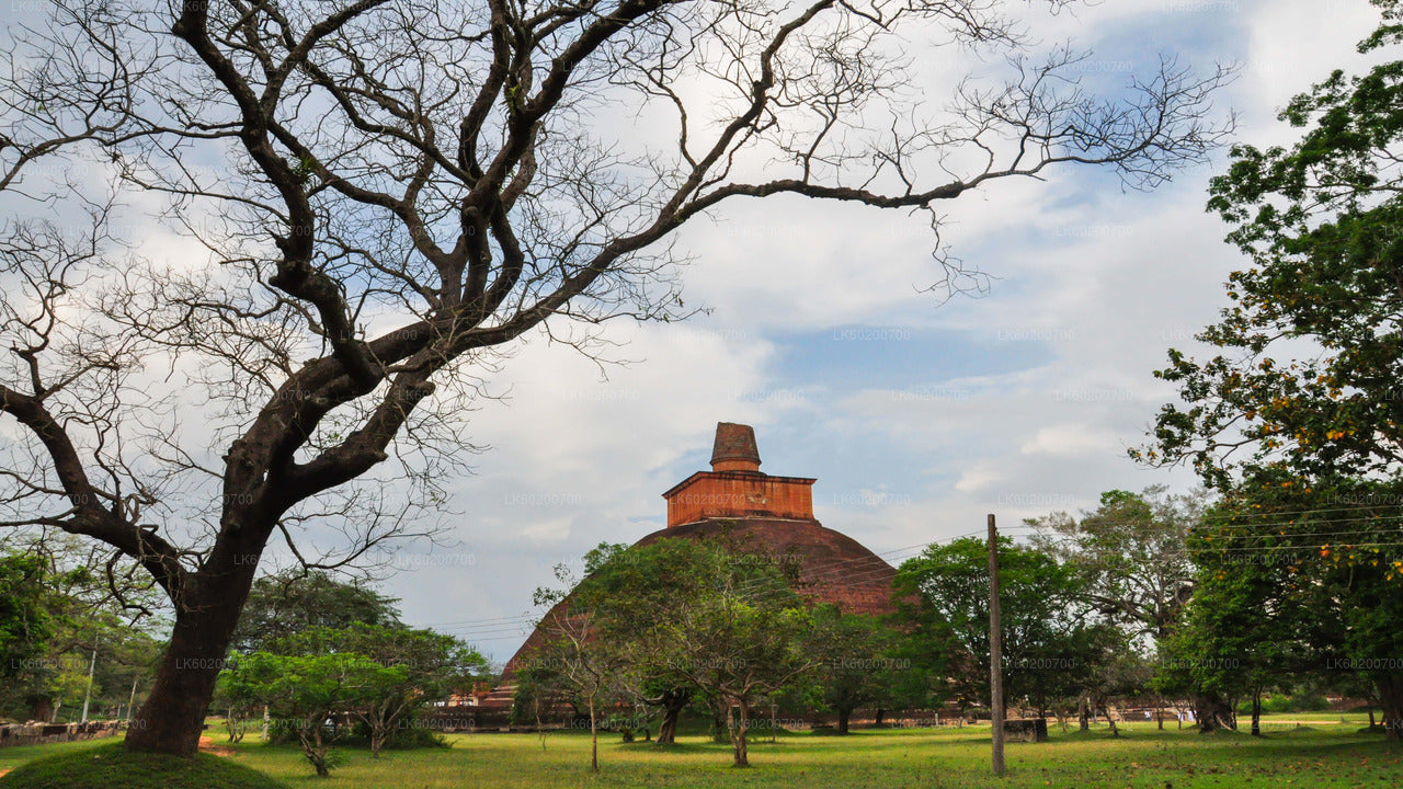 Anuradhapura Sacred City from Jaffna